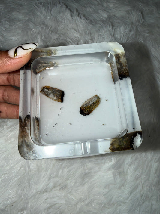 “White Roaches” Ashtray