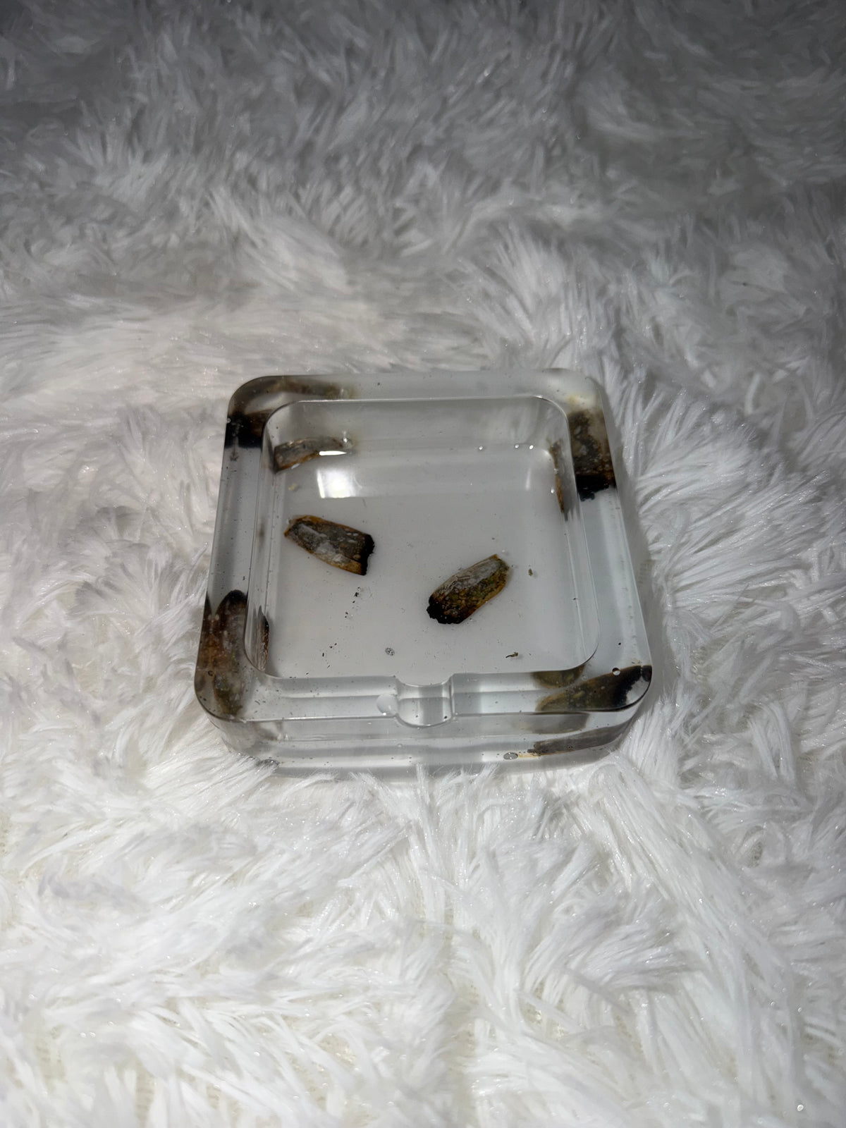 “White Roaches” Ashtray